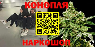 прущие грибы Шебекино