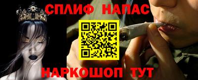 прущие грибы Шебекино