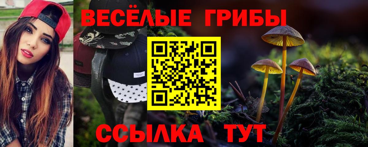 купить   Вход с VPN  Артёмовский  Галлюциногенные грибы Psilocybine cubensis 